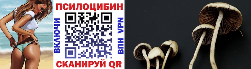 Псилоцибиновые грибы Psilocybe  Брянск 
