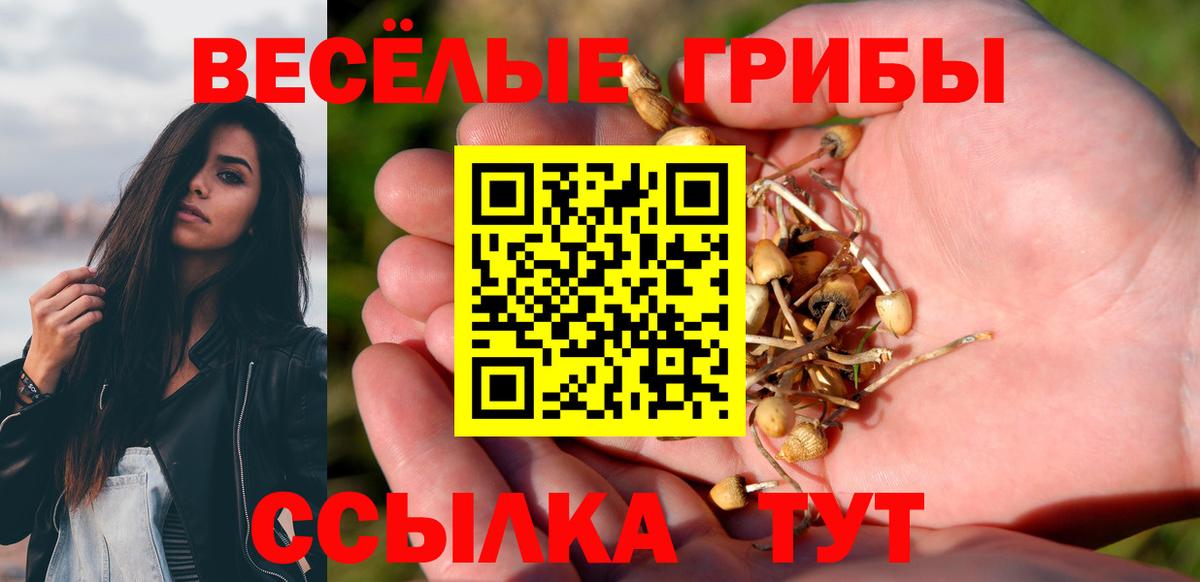 Галлюциногенные грибы MAGIC MUSHROOMS Брянск